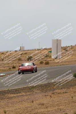 media/May-03-2025-Lucky Dog Racing (Sat) [[206de64b9d]]/Turn 6 (150pm-230pm)/